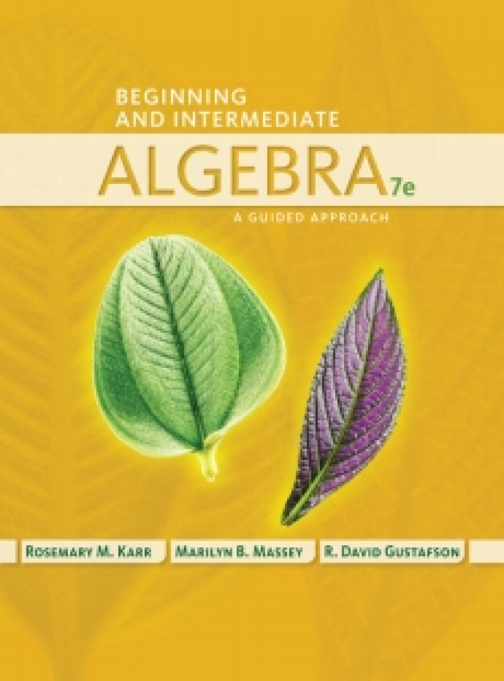 WebAssign for Karr/Massey/Gustafson's Beginning and Intermediate Algebra: A Guided Approach, 7th Edition [Instant Access], Single-Term 7th Edition â€“ PDF/EPUB Version Downloadable